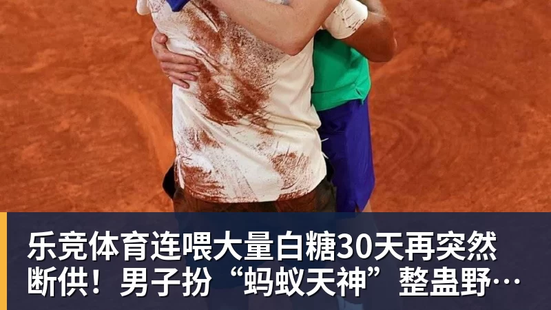 乐竞体育连喂大量白糖30天再突然断供!男子扮“蚂蚁天神”整蛊野生蚁群